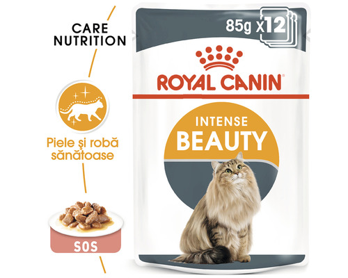 Hrană pentru pisici Royal Canin Intense Beauty în plic de 85 de grame, pachet de 12
