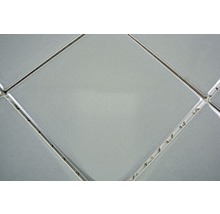 Mozaic piscină ceramic CQ 110 Quadrat gri lucios 30x30 cm