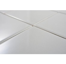 Mozaic piscină ceramic CQ 110 Quadrat gri lucios 30x30 cm