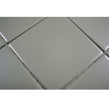 Mozaic piscină ceramic CQ 115 gri mat 30x30 cm
