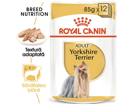 Hrană pentru câini Royal Canin Adult Yorkshire Terrier, pachet de 12