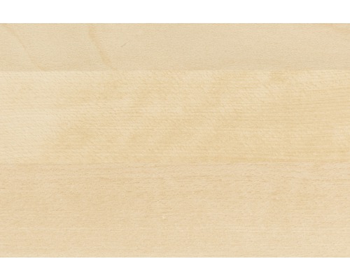 Fundal din lemn de fag deschis la culoare