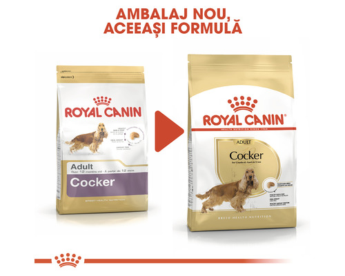 Royal Canin Cocker Adult hrană pentru câini, ambalaj nou, aceeași formulă