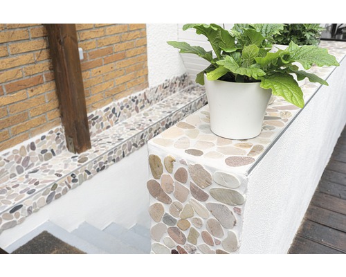 Exterior cu mozaic de pietriș, plantă într-un ghiveci