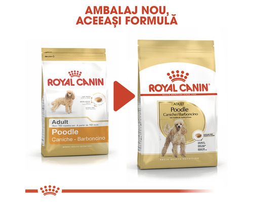 Hrană pentru câini Royal Canin pentru pudeli adulți în ambalaj nou