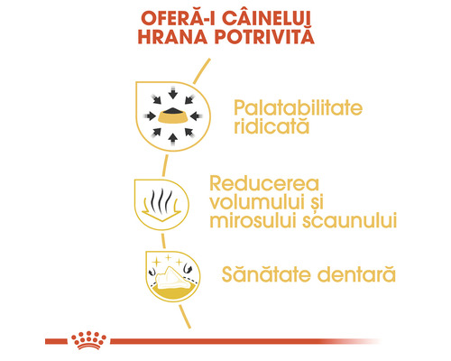 Avantajele hranei pentru câini: palatabilitate ridicată, reducerea volumului și mirosului scaunului, sănătate dentară.