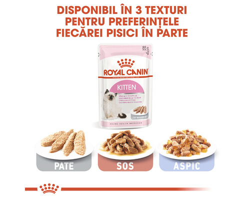 Hrană pentru pisici Royal Canin Kitten în trei variante