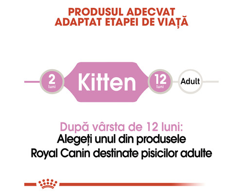 Produsul potrivit, adaptat etapei de viață a pisicii.