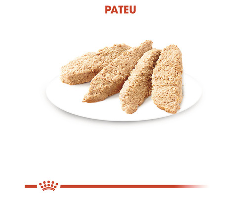 Pateu pentru pisici pe o farfurie