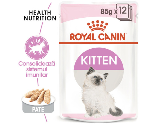 Royal Canin Kitten hrană pentru pisici, pateu, pachet de 12
