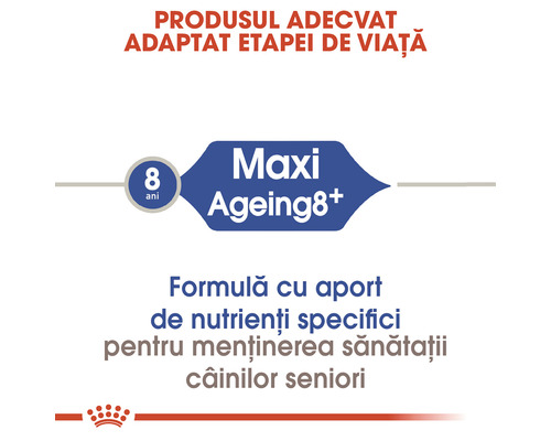 Royal Canin Maxi Ageing 8 plus, hrană uscată pentru câini seniori de rase mari, de la 8 ani