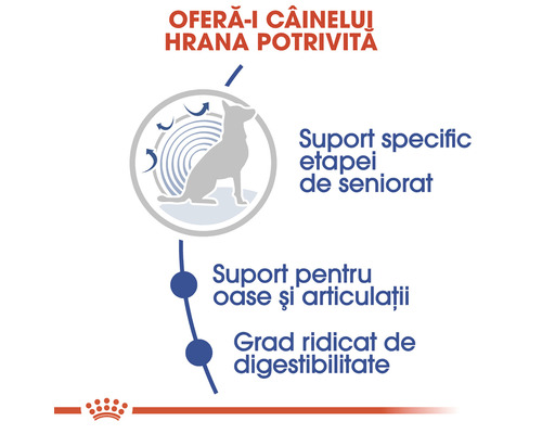 Grafică cu informații despre suportul pentru câinii vârstnici, oase și articulații, și digestibilitatea ușoară a hranei pentru câini