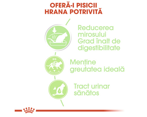 Avantajele hranei pentru pisici: reducerea mirosului, digestibilitate ridicată, greutate ideală, tract urinar sănătos