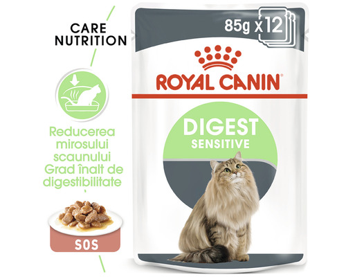 Hrană pentru pisici Royal Canin Digest Sensitive, pachet de 12
