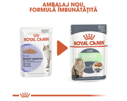 Logo Royal Canin, hrană pentru pisici, tip Digest Sensitive