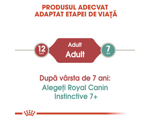Hrană Royal Canin pentru pisici adulte de la 12 luni până la 7 ani
