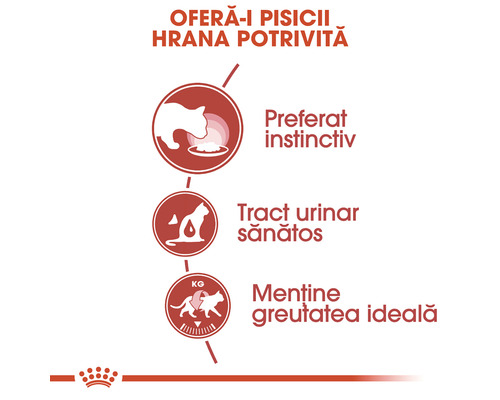 Informații despre hrana pentru pisici: preferințe instinctive, tract urinar sănătos, menținerea greutății ideale