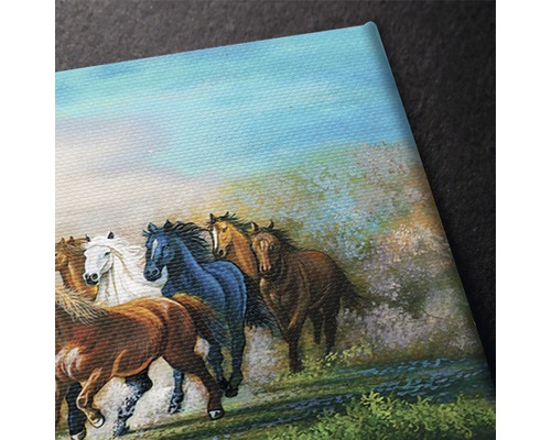 Tablou canvas cu o imagine cu cai galopând