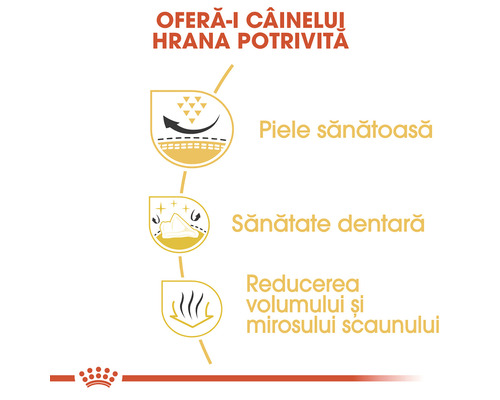 Avantajele hranei pentru câini: piele sănătoasă, sănătate dentară, reducerea volumului și mirosului scaunului