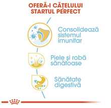 Informații despre beneficiile hranei pentru căței: consolidarea sistemului imunitar, piele și robă sănătoase, sănătate digestivă.