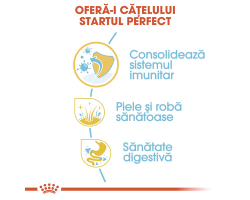 Informații despre beneficiile hranei pentru căței: consolidarea sistemului imunitar, piele și robă sănătoase, sănătate digestivă.