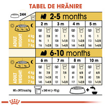 Tabel de hrănire pentru câini cu vârsta cuprinsă între două și zece luni, cu informații despre cantitatea recomandată de hrană în funcție de greutatea adultă.