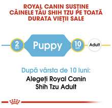Royal Canin susține câinele dumneavoastră Shih Tzu pe toată durata vieții sale. Hrănire cu hrană pentru căței până la vârsta de zece luni, apoi hrană pentru câini adulți.