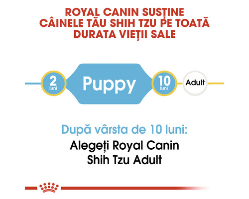 Royal Canin susține câinele dumneavoastră Shih Tzu pe toată durata vieții sale. Hrănire cu hrană pentru căței până la vârsta de zece luni, apoi hrană pentru câini adulți.