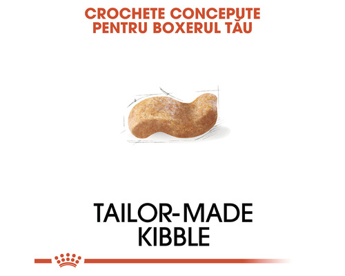 Crochete special concepute pentru boxerul tău