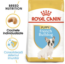 Hrană uscată pentru câini, ROYAL CANIN BHN French Bulldog Junior, 3 kg-thumb-2