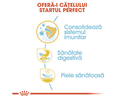 Beneficii pentru câini: Consolidarea sistemului imunitar, susținerea digestiei, piele sănătoasă