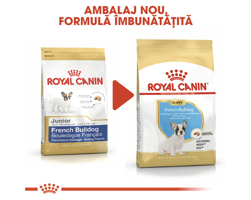 Comparație între ambalajul vechi și cel nou al hranei pentru câini Royal Canin French Bulldog