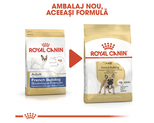 Comparație între două ambalaje de hrană pentru câini Royal Canin Bulldog Francez