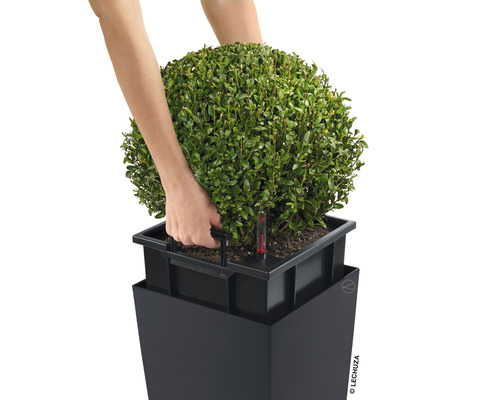 Plantă în jardinieră cu sistem de irigare și indicator de nivel al apei