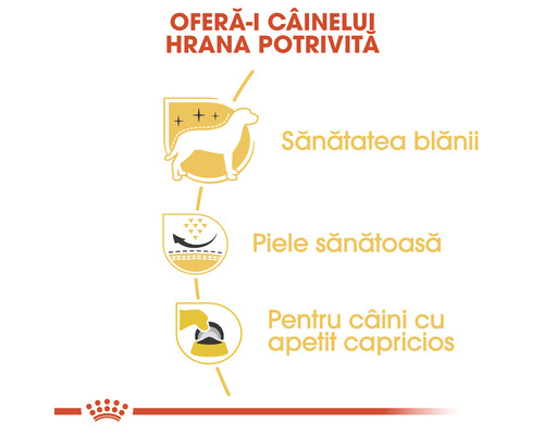 Informații despre blană sănătoasă, piele sănătoasă și hrană pentru câini mofturoși