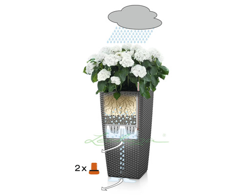 Ilustrație a unei jardiniere cu sistem de irigare și hortensii albe.