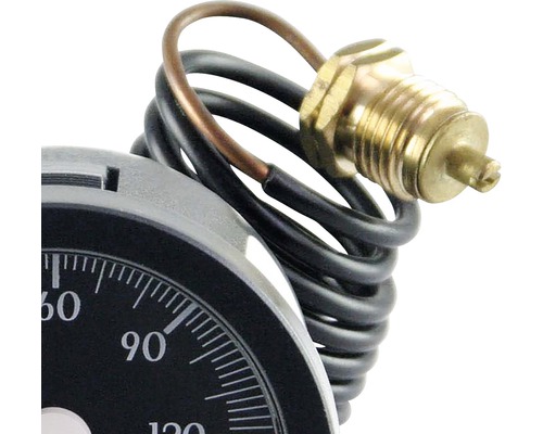 Imagine detaliată a unui termometru cu senzor