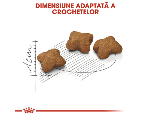 Imagine cu hrană pentru câini de dimensiunea unei crochete.