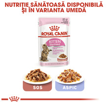 Royal Canin Kitten Sterilised hrana umeda pentru pisici