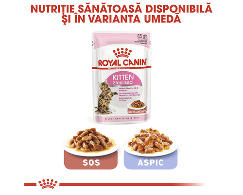 Royal Canin Kitten Sterilised hrana umeda pentru pisici