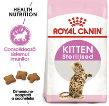 Pachet hrana pentru pisici Royal Canin Kitten Sterilised