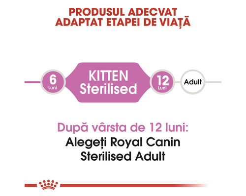 Informații despre alimentele Royal Canin pentru pisici sterilizate în diferite etape de viață
