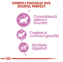 Simboluri pentru susținerea sistemului imunitar, a creșterii, a controlului greutății și a digestiei la pisici