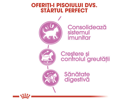 Simboluri pentru susținerea sistemului imunitar, a creșterii, a controlului greutății și a digestiei la pisici