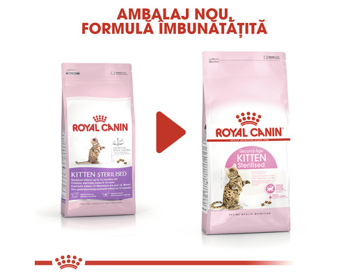 Două pachete de hrană pentru pisoi Royal Canin Kitten Sterilised