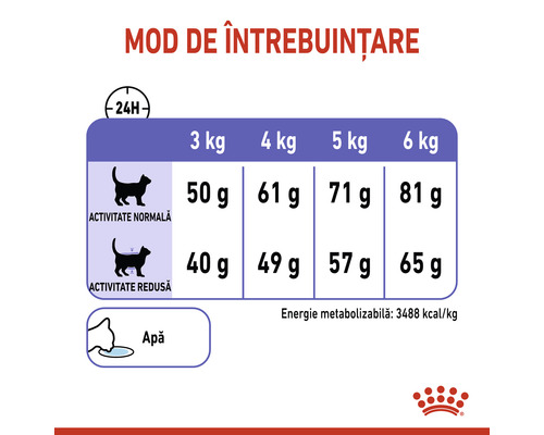 Ghid de hrănire pentru hrana pisicilor