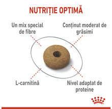 Prezentare a valorilor nutritive optime ale hranei pentru câini