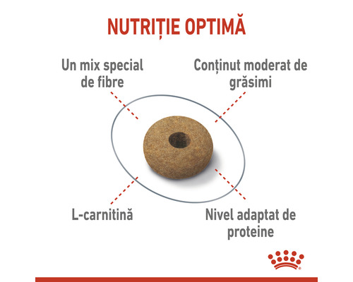 Prezentare a valorilor nutritive optime ale hranei pentru câini