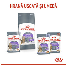 Hrană pentru pisici Royal Canin pentru controlul apetitului, hrană uscată și umedă