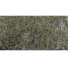 Mănunchi de mușchi islandezi în ambalaj